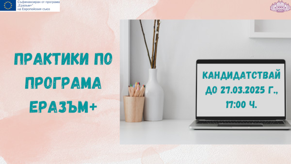Erasmus_traineeships_2024-2025_3