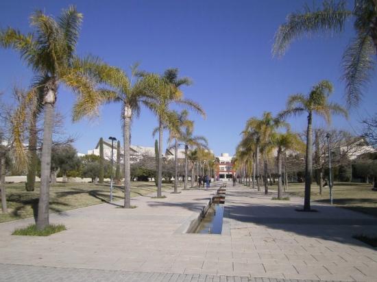 Alicante4