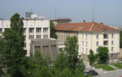fzf