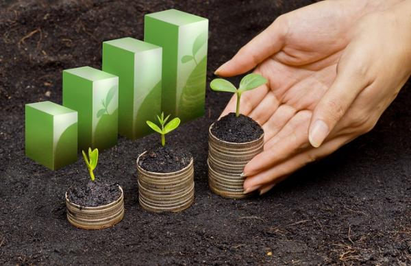 green_investment_shutterstock_211760089