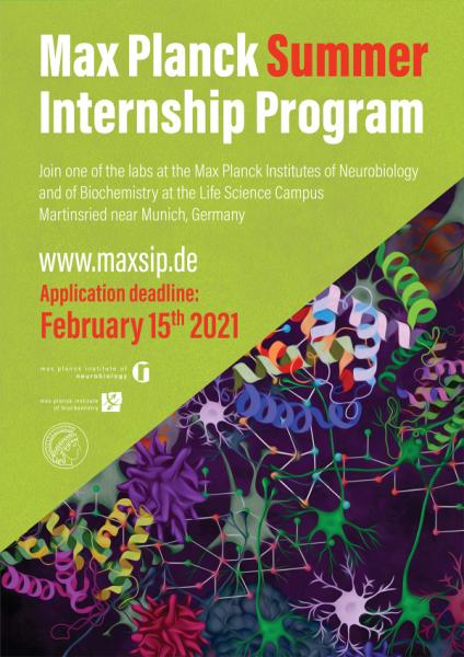 MaxSIP copy