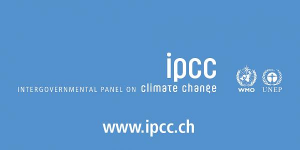 Panel