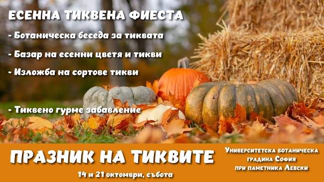 Pumpkin-fest-2023-3