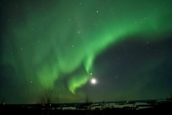 Savonia1