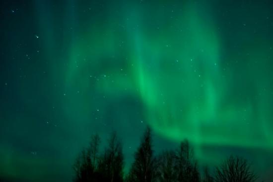 Savonia4