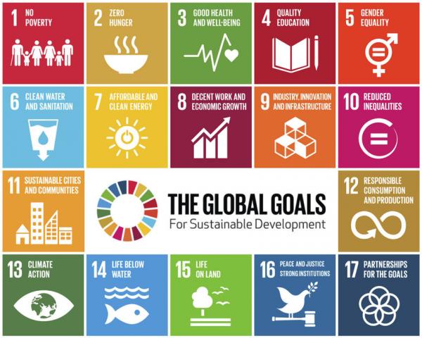 The-UN-17-Sustainable-Development-Goals-SDGs-implemented-by-all-the-worlds-countries