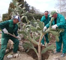 Biodiversity Biodiversity