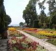 Университетската ботаническа градина в Балчик на 55 години