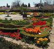 Ботаническата градина в Балчик отново представя богатата си колекция от кактуси и сукулентни растения 