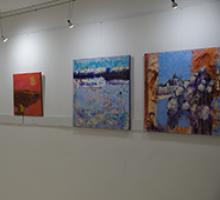 Изложбата „По Дунава“ бе представена в Българския културен институт в Будапеща