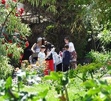 Празник в Университетската ботаническа градина в София по повод Деня на детето 