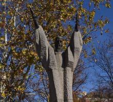 Софийският университет отбеляза патронния си празник с академично тържество Софийският университет отбеляза патронния си празник с академично тържество