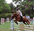 XIX-ти Републикански турнир по конен спорт за купата на Софийския университет 