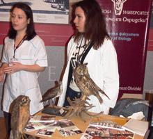 За шеста поредна година в Софийския университет се провеждат Дни на кандидат-студента За шеста поредна година в Софийския университет се провеждат Дни на кандидат-студента