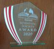 Award statue SGEM 2020