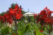 Botanic Garden - Balchik