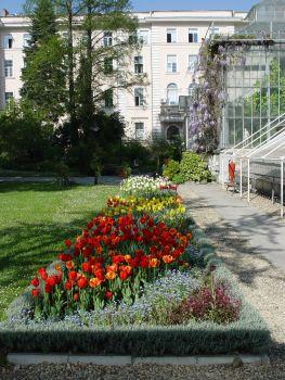 Botanicheska Gradina Sofiya Galeriya Universitetski Botanicheski Gradini Samostoyatelni Zvena Universitett Nachalo Sofijski Universitet Sv Kliment Ohridski